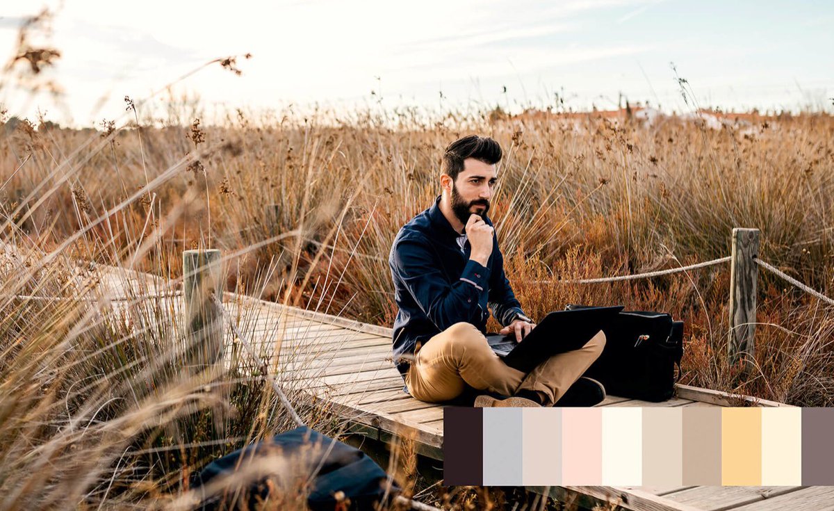 Caparol UK tweet media