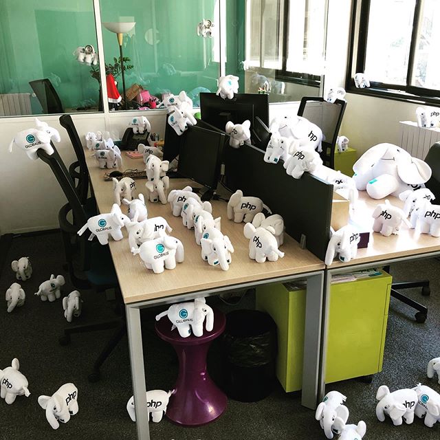 echoglobalis's tweet image. Quand le chat n’est pas là les éléphants dansent 🐱🐘🕺🏼 Écho s’occupe de la permanence pendant le télétravail des Glob’codeurs!

#php #développeurs #développeursweb #confinement #teletravail #covid_19 #coronavirus #restezchezvous #restezalamaison #wordpress #workathome #invasio