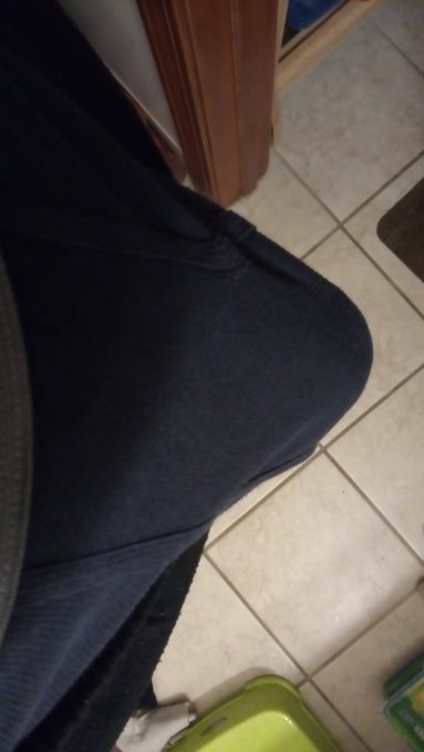 Someone wanted to start your week off right! #morningwoodmonday https://t.co/eL3aVqMb2c<a href="/tag/morningwoodmonday"class="tags">#morningwoodmonday</a>