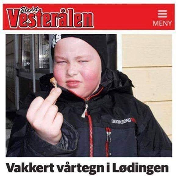 HHolten's tweet photo. Vakre vårtegn!😄 https://t.co/RHWa4fpwpO