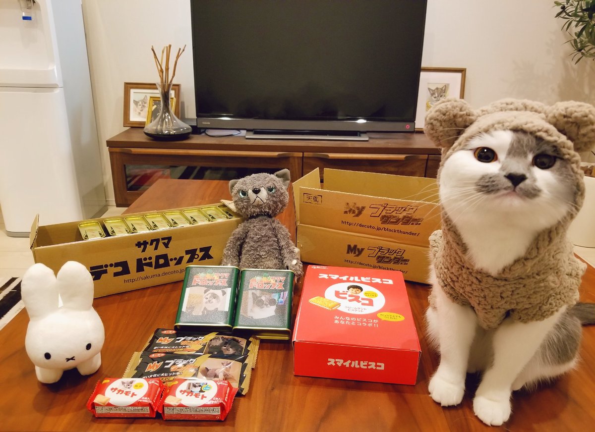 sakamoto_0905's tweet photo. 🍪プレゼント🍪

🍩お菓子セット🍩
(飼い主おすすめおまけ付き🐰🥕)

少しあまったのでもし欲しい方いたら🐻🥧

🍘条件🍘

🍿フォローしてくださってる方👩‍👩‍👧‍👧

🍿郵送ですので届け先を聞いても大丈夫な方📦

🍿国内の方🗾

4日後締め切り
もし定員超えましたらさかもとによる抽選になります🐸

#猫 https://t.co/AocderjxQs