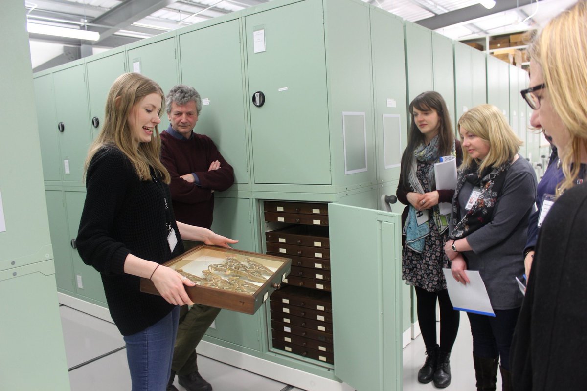 Q: What does a normal day in the life of an Entomologist look like?A: (1/2) A regular day for me would be at the collection centre; facilitating access to the collection for volunteers, researchers, students & amateur entomologists; dealing with loans, enquiries & curation.