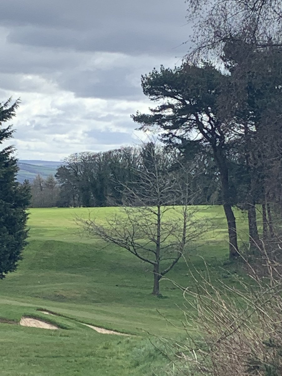 stevieg73's tweet photo. @mortonhallgolf Found it https://t.co/gkDABuujsl