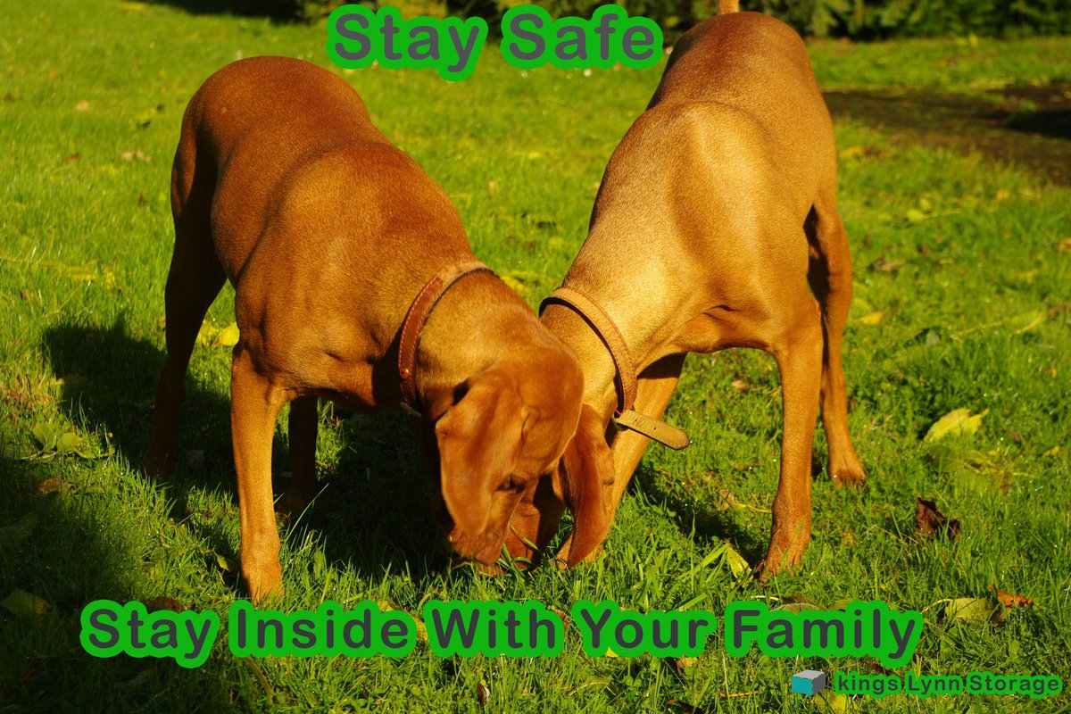 #StayHomeSaveLives  #StayAtHomeAndStaySafe  #COVID19  #kingslynnstorage #norfolk