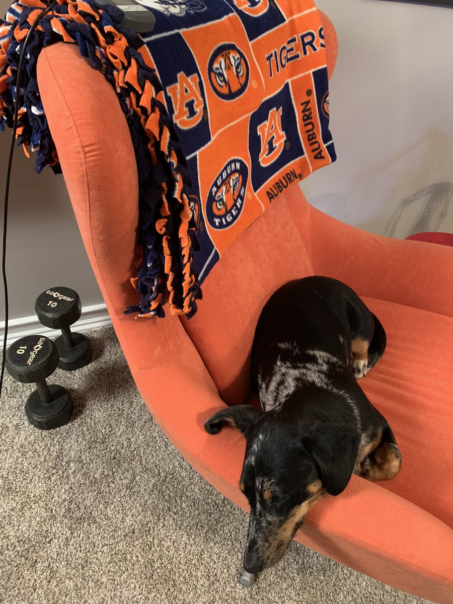 RealMonicaAdams's tweet photo. @StlAuburnClub #WarEagle These are my little helpers who are also big #Auburn fans!  My hubby and his family are all from there!! https://t.co/RbmtGYhFCD