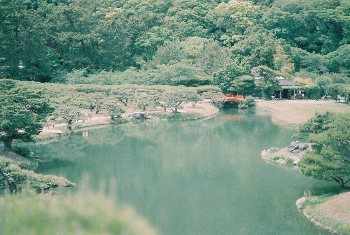 cub824's tweet photo. ��林公園　その5@香川県高松市

#minolta 
#SR1
#SUPERIAXTRA400
#filmphotography 
#film
#fujifilm
#ポパイカメラ
#栗林公園 
#写真好きな人と繋がりたい 
#写真撮ってる人と繋がりたい https://t.co/VnsVyi6Eid