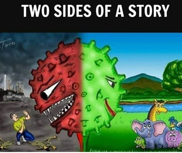 Avsavinash's tweet photo. #COVID2019india #StayHome #lockdown #mondaythoughts #Quarantine #COVID2019 # https://t.co/fA849uFNCT