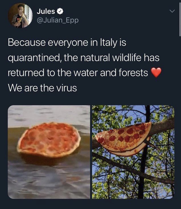 JohnDoughs's tweet image. 😂😂 #isolationhumor