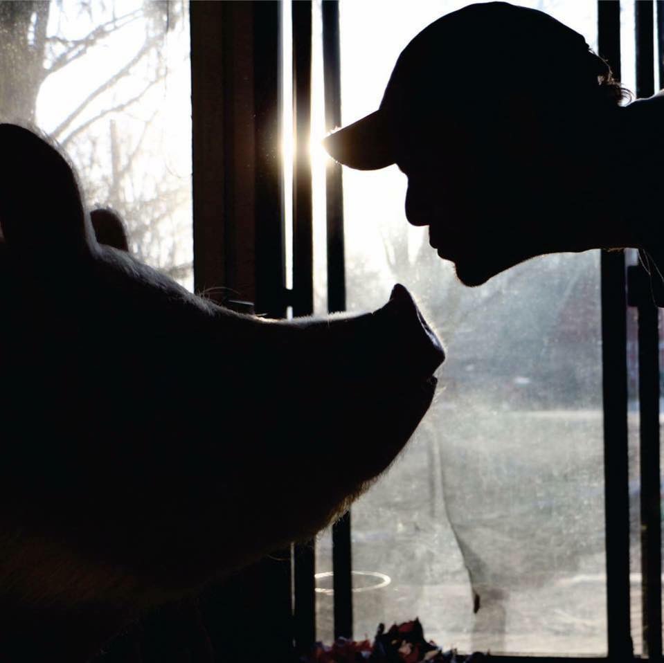 ”It takes nothing away from a human to be kind to animals.” -Joaquin Phoenix #BeKindToAllKinds