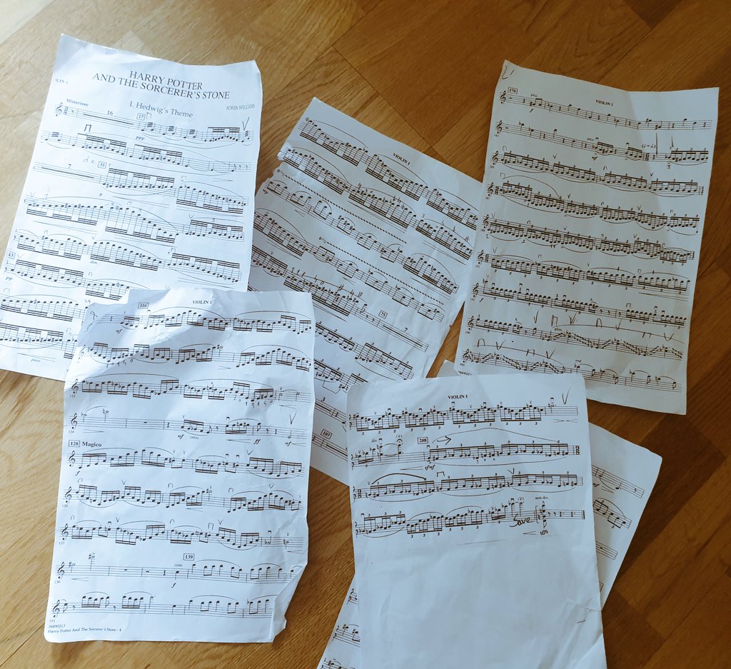 maxinekwokvln's tweet photo. This makes for a great warm up!! 🎻⚡@londonsymphony @HarryPotterFilm #StayHome @OrchestraProbz_ https://t.co/YCiflmKpaO