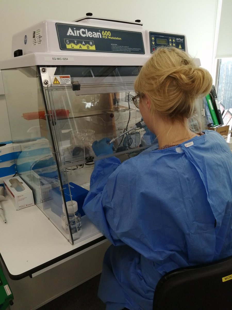 TheMaterFoundat's tweet photo. Ireland is currently testing 5000 people a day 🇮🇪🏩

That’s thanks to scientists like our Nicola, Fiona &amp; Edel 

Retweet to show appreciation for these invisible heroes 💛#HealthcareHeroes #Covid_19 https://t.co/m1jG6Ht5Vx