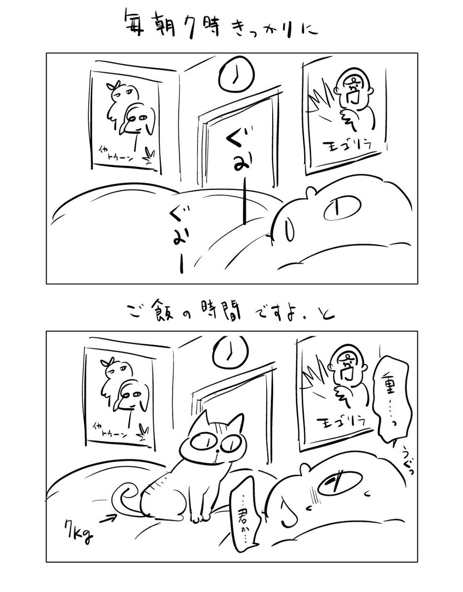 彼は食いしん坊で、ご飯の二重取り常習犯です。食べたばかりなのに、「僕、まだご飯もらってない!」と言い張るのです。それはもう、必死に。^^ 