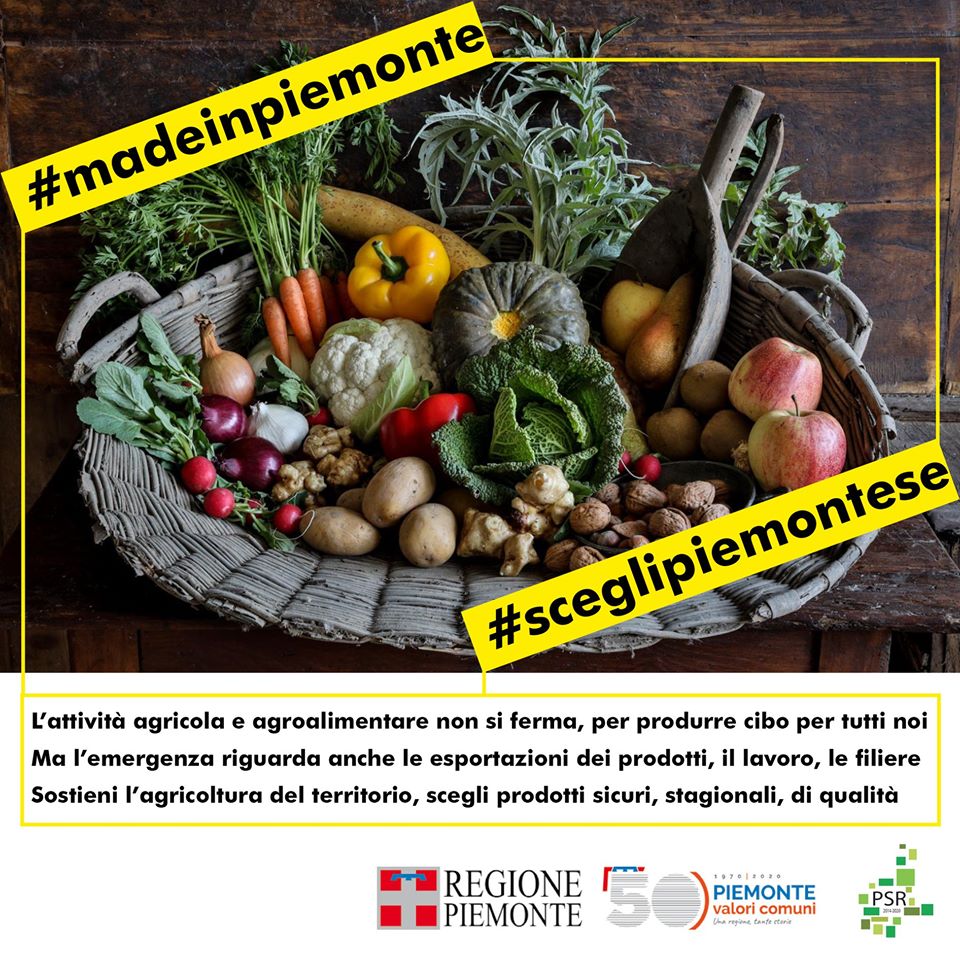 regionepiemonte tweet picture
