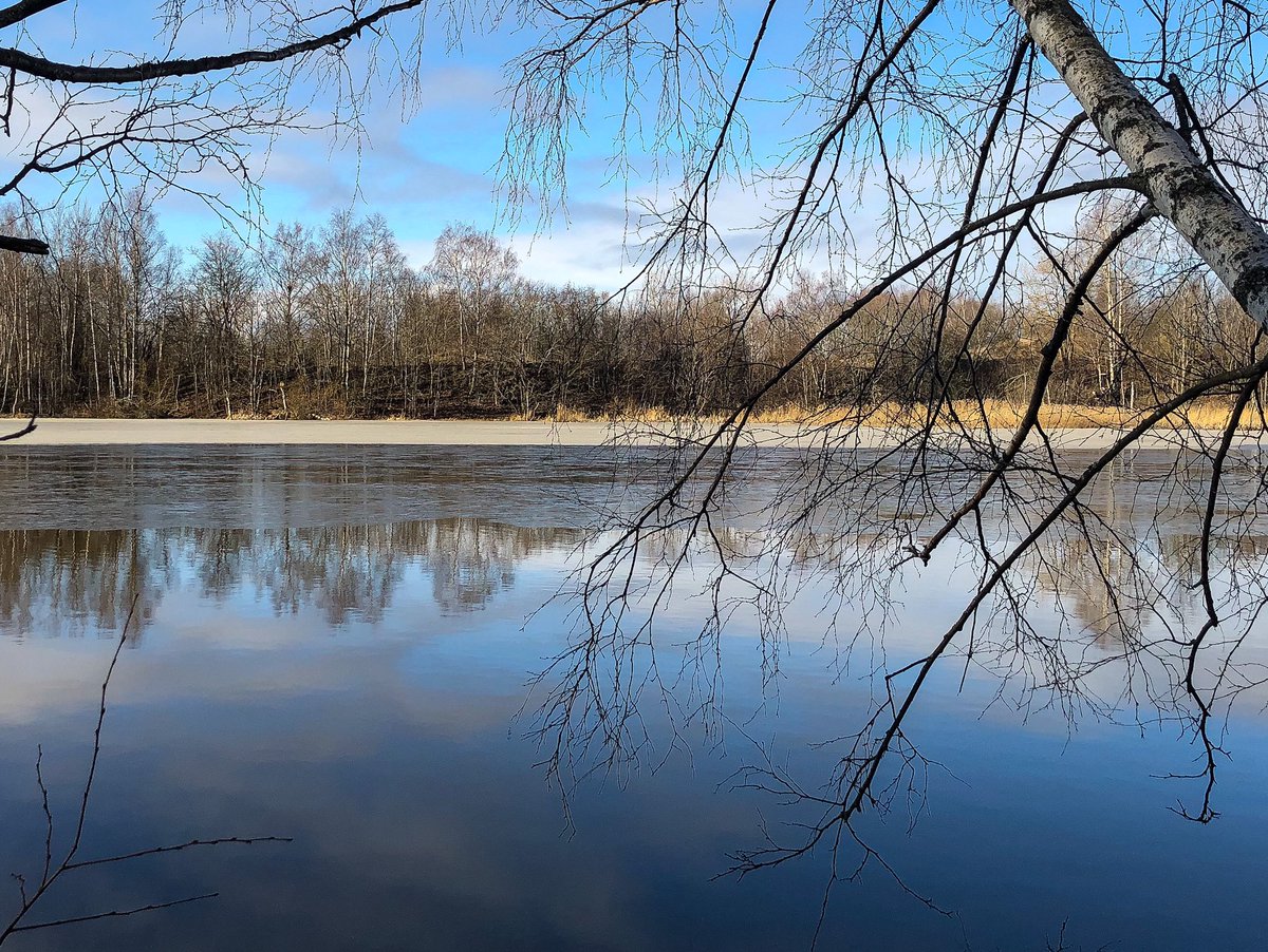 TuijaJansson's tweet photo. Näytin Dorikselle aamulla järven pintaa ja sanoin: ”Katso, riitettä! Eilenhän tuo oli ihan sulana.” Alkoi naurattaa nuo sanat, #riite ja #sulana. #Doris ei ollut huomaavinaan. On se fiksu. https://t.co/P6aWGKAfeI