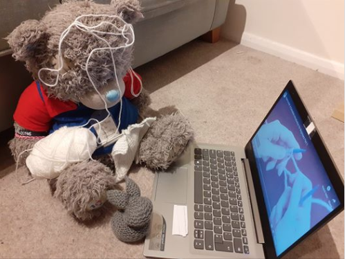 csg2nd's tweet photo. Today's Malta Girl Guide challenge was to learn a new skill so Ollie thought she'd have a go at knitting!
#thisbearcan
#mggquarantinechallenge #beattheboredom https://t.co/VnESjda18I