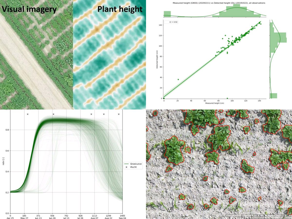 Zeker in deze tijden met reisbeperkingen kunnen drones een uitkomst bieden voor monitoren van proefvelden. Ons internationale netwerk van <a href="/Dronewerkers/">Dronewerkers</a> kan probleemloos digitale waarnemingen van NLse &amp; buitenlandse proeven verzamelen. #deTeeltinBeeld