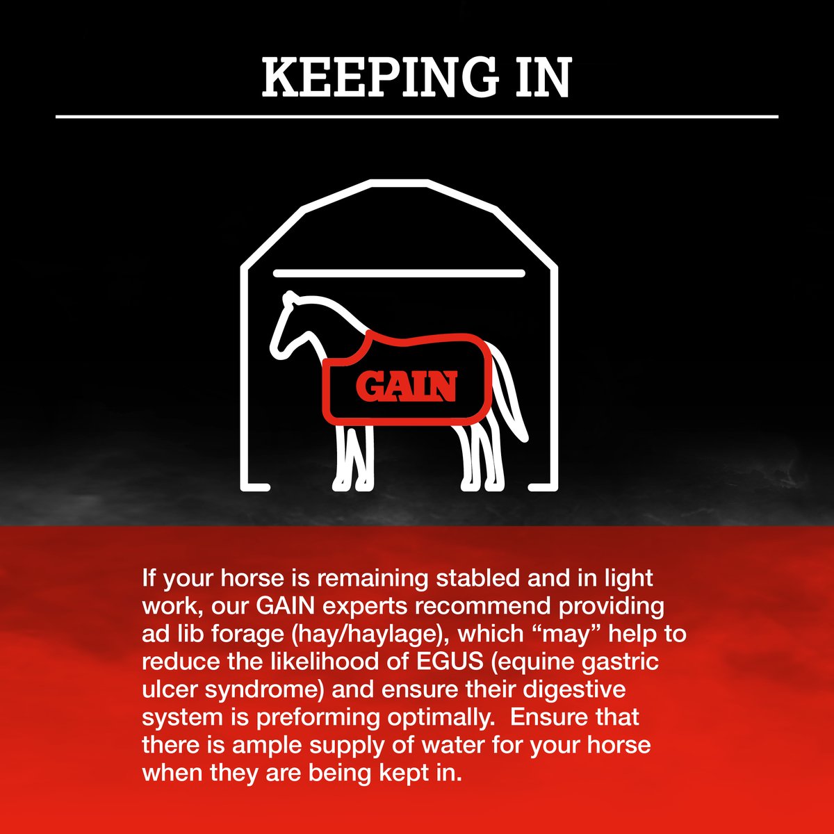 GAINEquine's tweet photo. 🐴With no competition on the calendar, you may need to alter your feeding regime. 🐴
Check out some top tips below👇👇
#Covid19 #SocialDistancing #KeepingUsTogether #GAINTheDistance https://t.co/tH8CP1v6ip