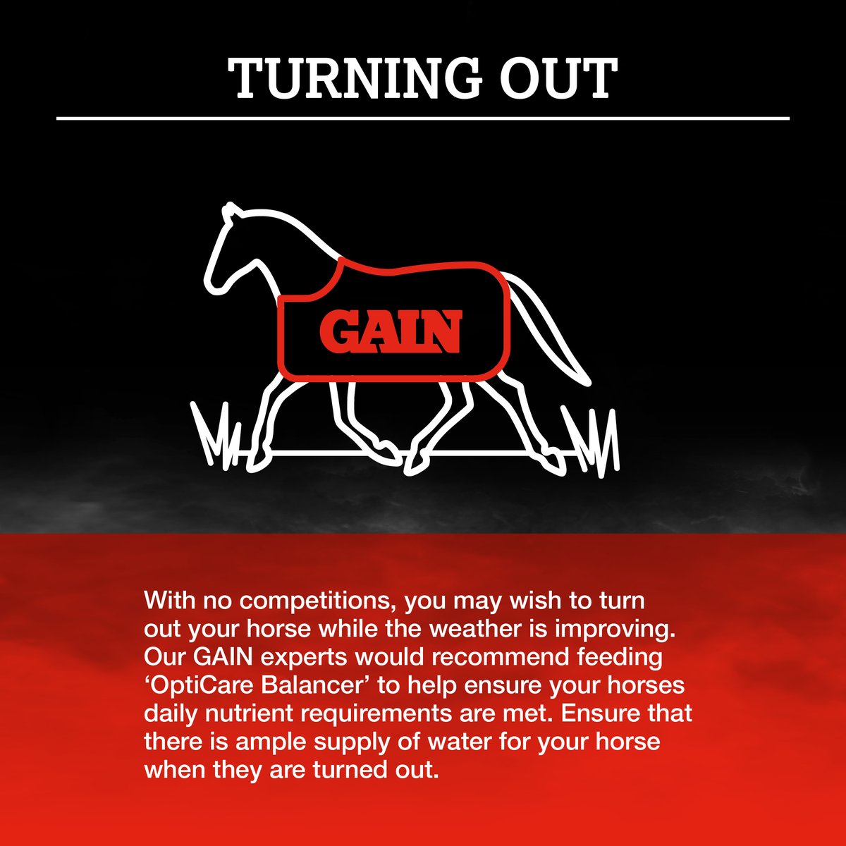 GAINEquine's tweet photo. 🐴With no competition on the calendar, you may need to alter your feeding regime. 🐴
Check out some top tips below👇👇
#Covid19 #SocialDistancing #KeepingUsTogether #GAINTheDistance https://t.co/tH8CP1v6ip