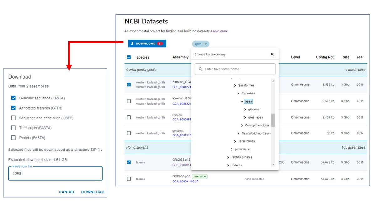 NCBI's tweet photo. Need genomic sequence and annotation data for a eukaryotic organism? Now you can easily gather that data from across NCBI with Datasets! https://t.co/OEelUku9IW

Read more about the new resource on NCBI Insights and give it a try today. https://t.co/sLXZR9rIMg https://t.co/r9mLFxIdgk