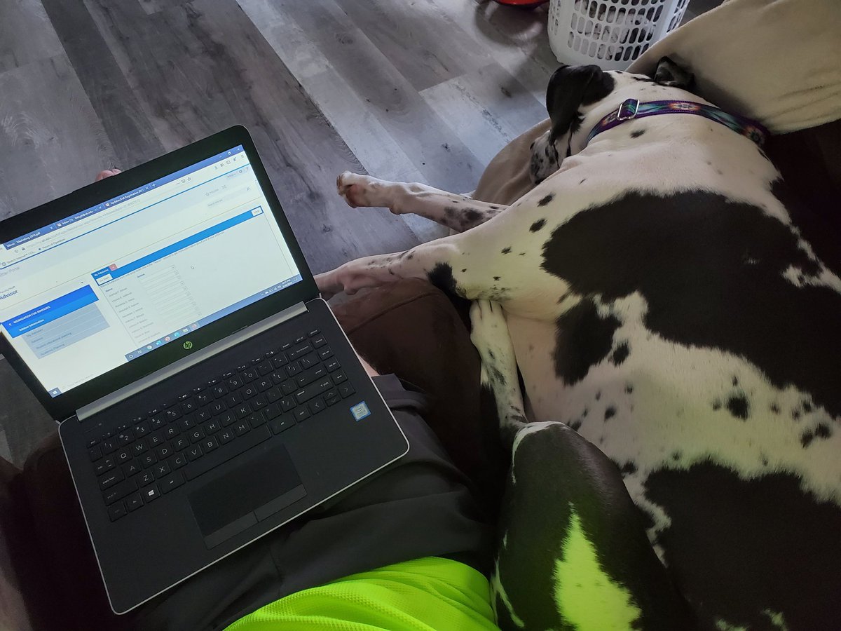 Our assistant Sport Management advisor, <a href="/PrincessPumbaa/">PrincessPumbaa</a> has decided registering students for classes is too taxing