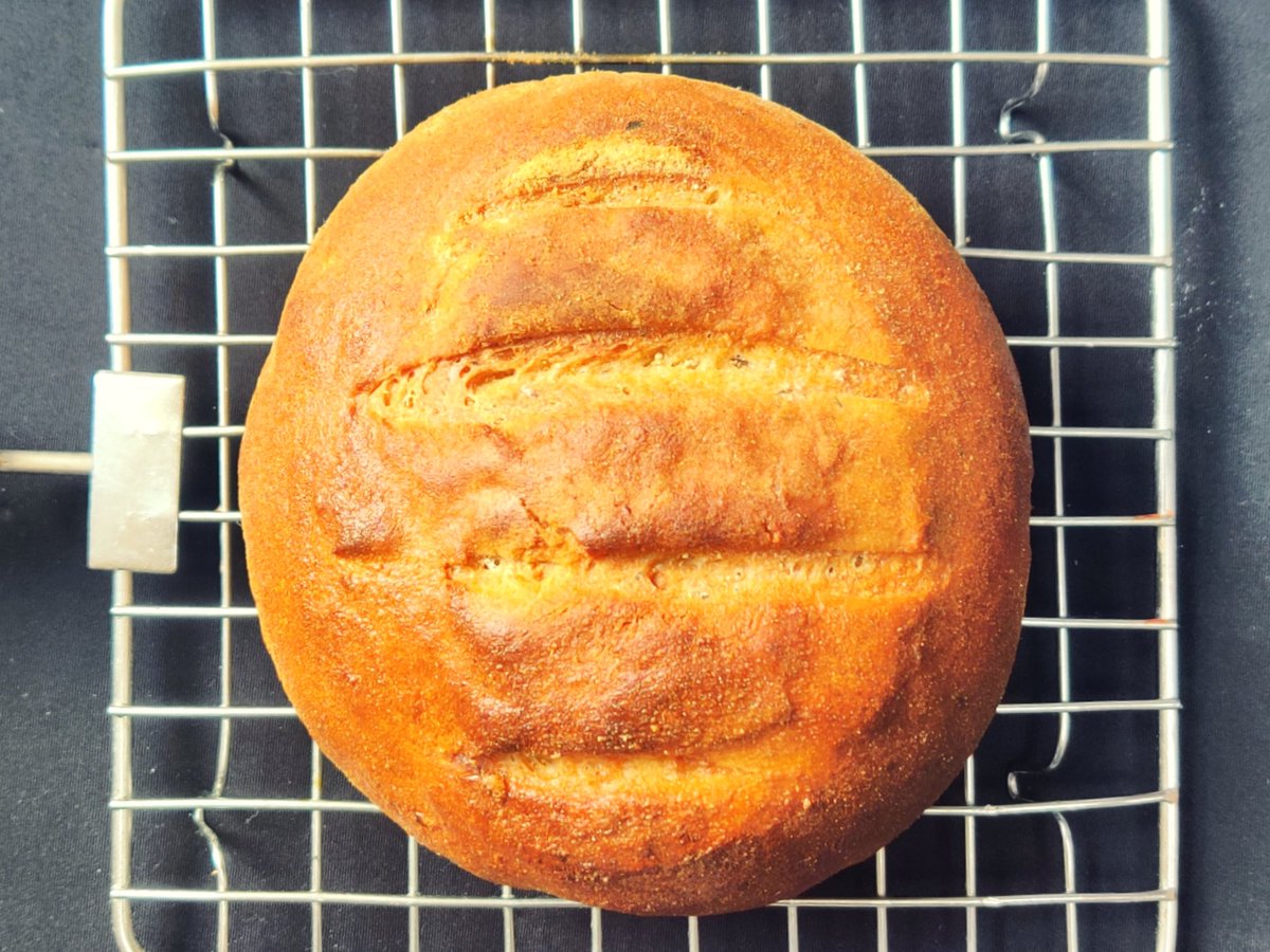 drmverma's tweet photo. #UKlockdown #MondayMotivaton Amidst the few #WFH breaks, managed to bake an #italianherb #bread from the last bag of flour. #StayAtHomeAndStaySafe https://t.co/M7SmFQaZvq