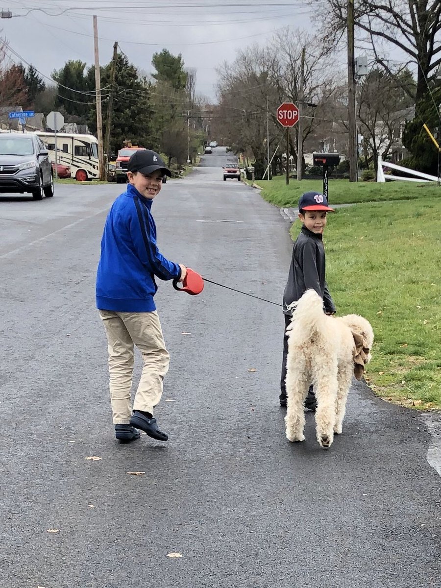 stalsitz5's tweet photo. #CETHedgehogs The Stalsitz boys are movin’ it this Monday with Maggie! https://t.co/2OP05eowRR