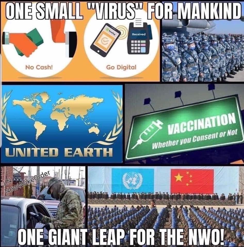 This isn’t about a cold virus ... this is about collapsing the economic structure, cashless society, ID chips, mandatory vaccines, 5G, social credit systems, all linked into smart grid technology controlled by the government. #CoronaHoax