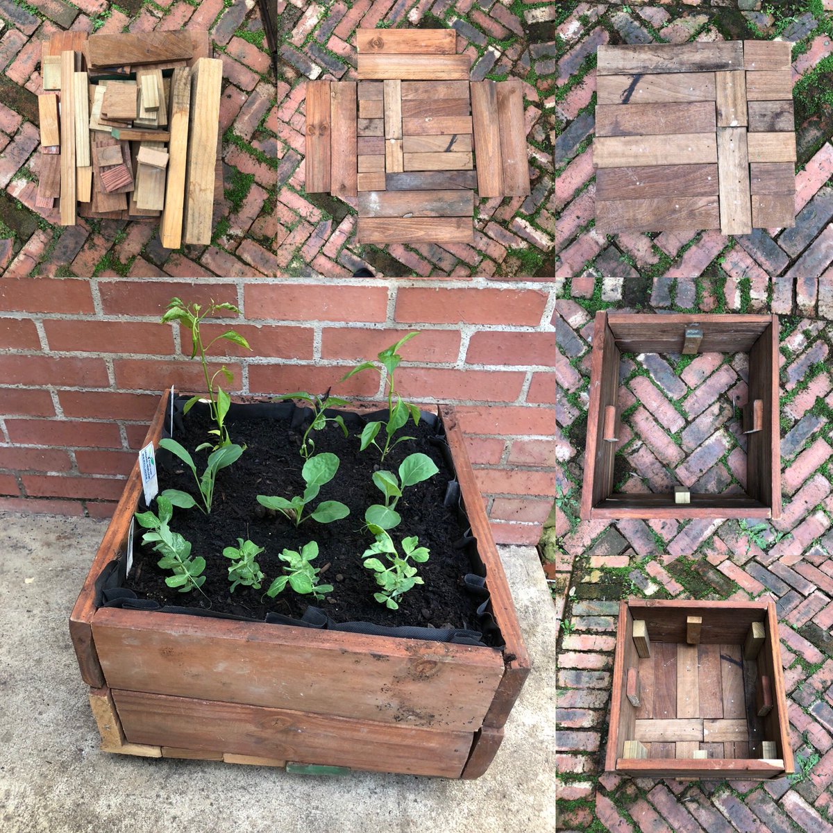 So this weekend my son and I built a planter box out of scrap wood and also planted 2 more herb gardens ... I fear we may have peaked too soon! 😆#NoLockdownOnCreativity @NahanaGroup