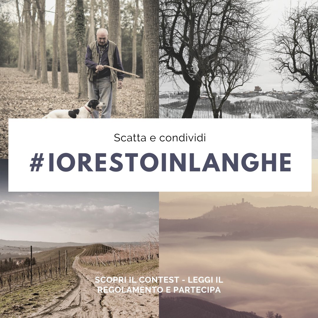 Langhe tweet media
