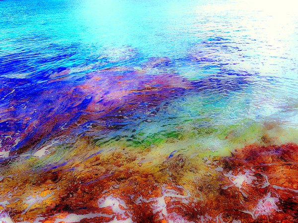 New artwork for sale! - "St. Croix 13" - fineartamerica.com/featured/st-cr… <a href="/fineartamerica/">Fine Art America</a>