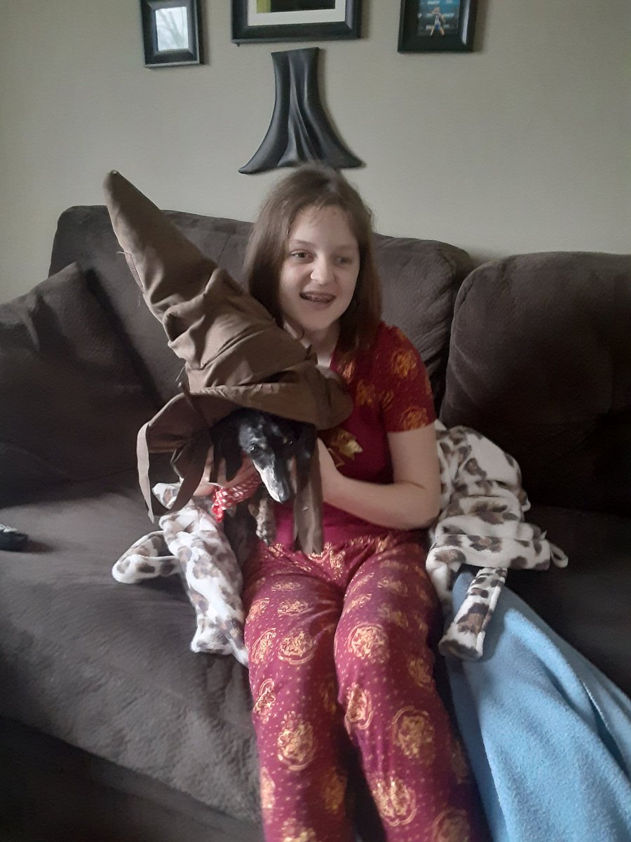 ashleyperry62's tweet photo. @wmscats @HilliardSchools
Lynda e-learning in PJ's (with dog) https://t.co/1z13Ua5ocz