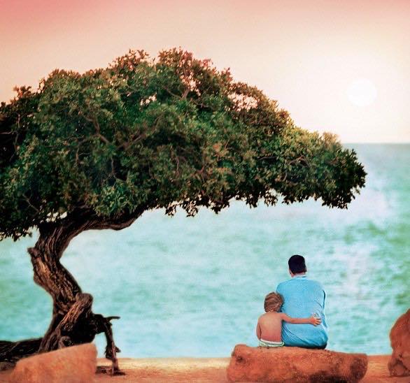 لا معجم يفسر معنى " أب" كما تفسرها الحياة .. ظل وارف، ومتكأ .. فإن غاب فلا ظلٌّ، ولا متكأ💗