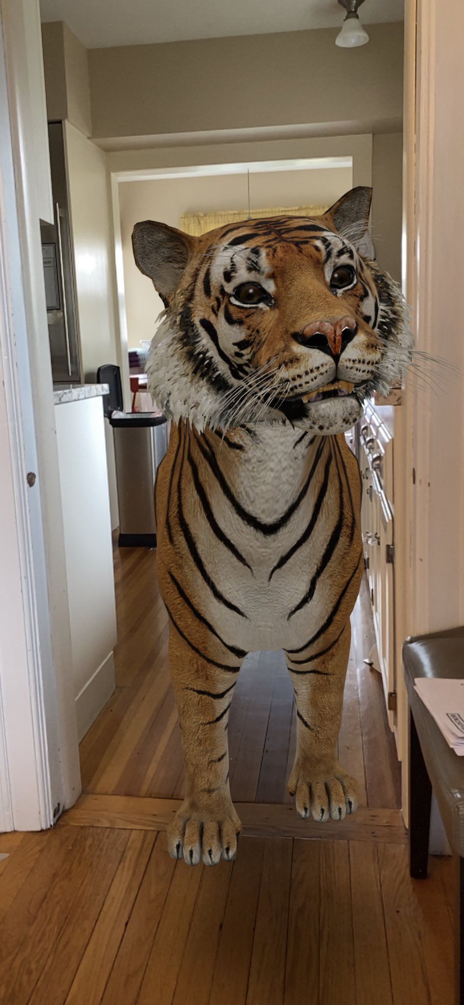 Google 3D Animals: How To Conjure Ar Animals With Google Search And More -  Cnet