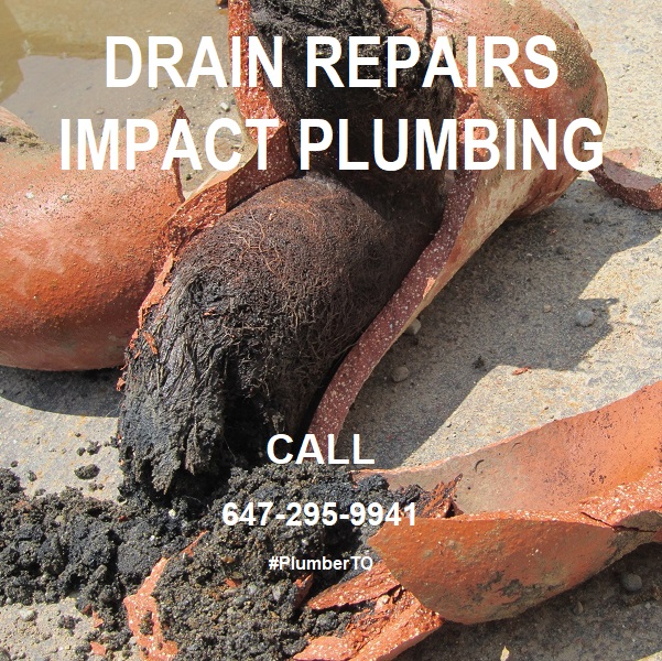 PlumberTO tweet picture