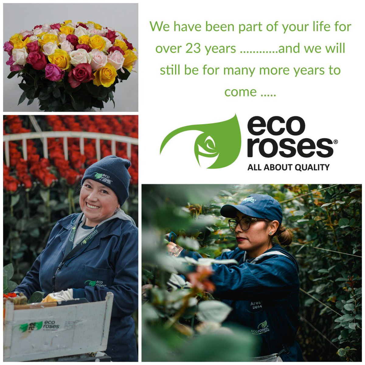 EcorosesSA's tweet photo. Flowers have an immediate impact on happiness and a long-term positive effect on moods! 🌹... So keep the hope up and remember we will overcome this together! #ecoroseslove #ecoroses #strongertogether #flowerpower #flowers #bewellwithflowers #buyflowers #lethopebloom https://t.co/WUjkiNiIIg