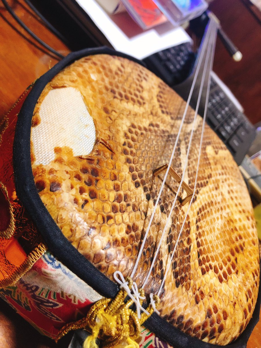 _ASHIBOO_mafin's tweet photo. 19年前に親父から貰った強化張りの三線。
自分の三線の中で1番使ってきて、1番愛着のあるやーつ。
　　
19年も使ってるとこうなるんねー！
こんだけ弾いてきたんだなーと思うと感慨深い。
これからの人生もこの三線と一緒に！
　
張り替えたいような、張り替えたくないような...

#my三線自慢 https://t.co/Ush69jfCFy