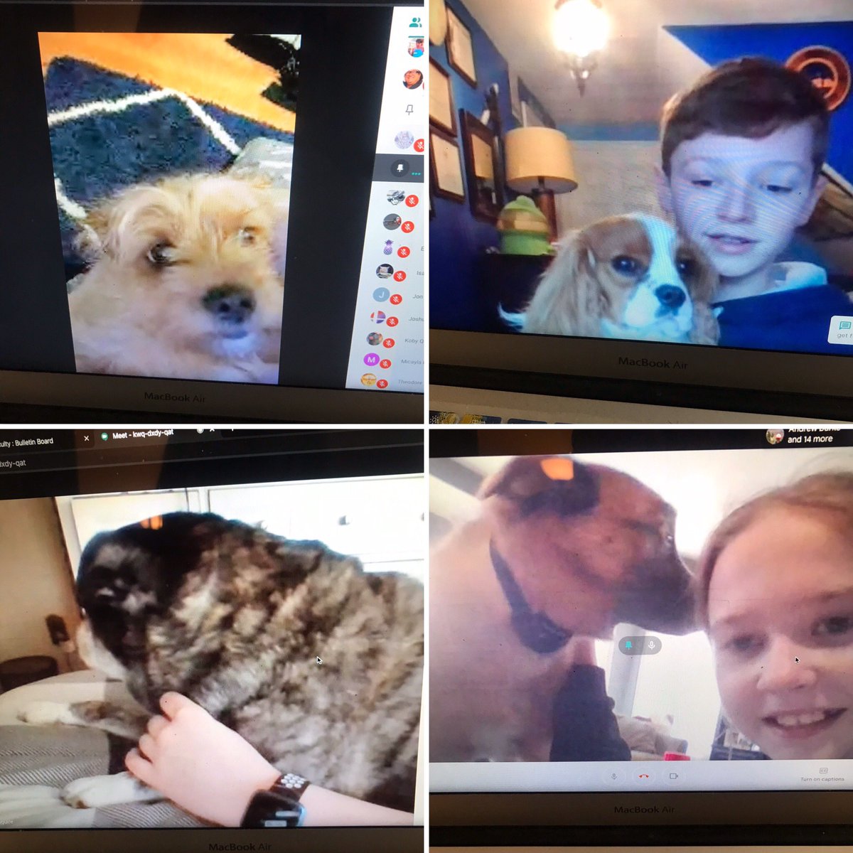 MrsB_msc08's tweet photo. Mindful Monday started with “Bring your pet to TC” day! Absolutely loved meeting all the wonderful pets of TC 418!! @MtStCharles #Mountconnects https://t.co/jw3zT5OoCh