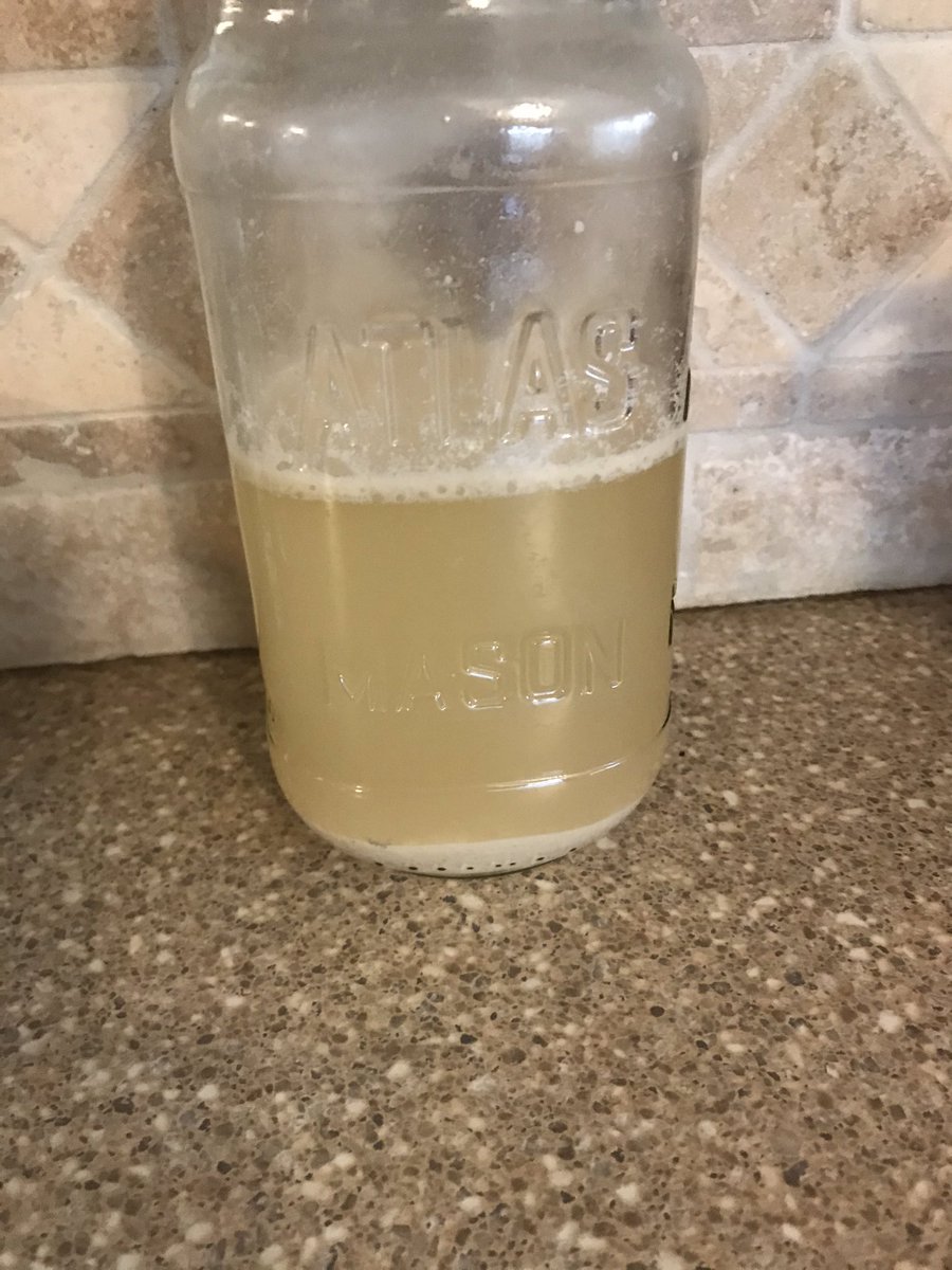 SciEdKlein's tweet photo. Inspired by @richbacolor sourdough starter, but no yeast at home or in the stores. God bless Larry Bell and unfiltered Oberon!  #drinkingbeertofeedthefamily https://t.co/I0EKMrCp9z