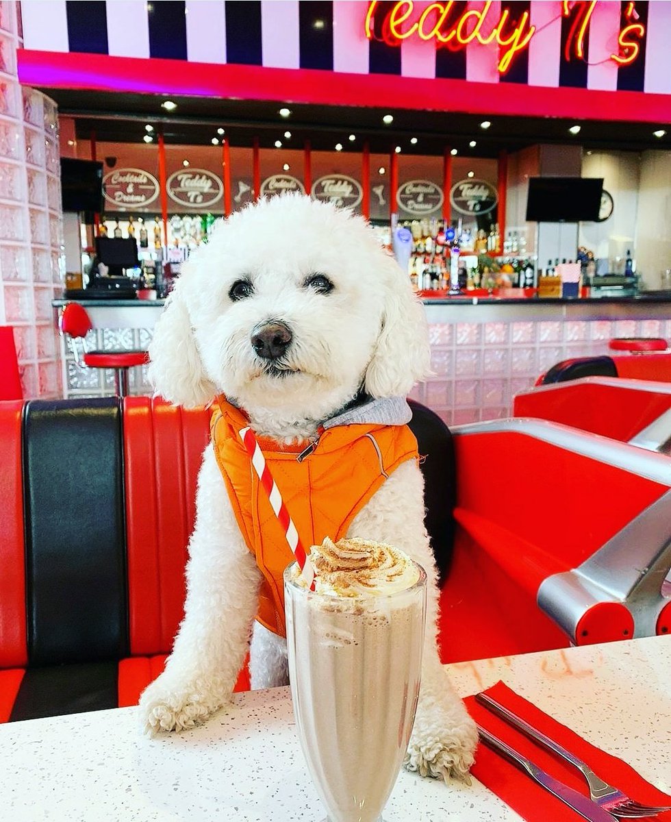 teddytsbarry's tweet photo. Can't Wait For A Shake At TeddyTs Again Once All This Is Over!🥤
#Covid_19 https://t.co/pPemb8GfVq