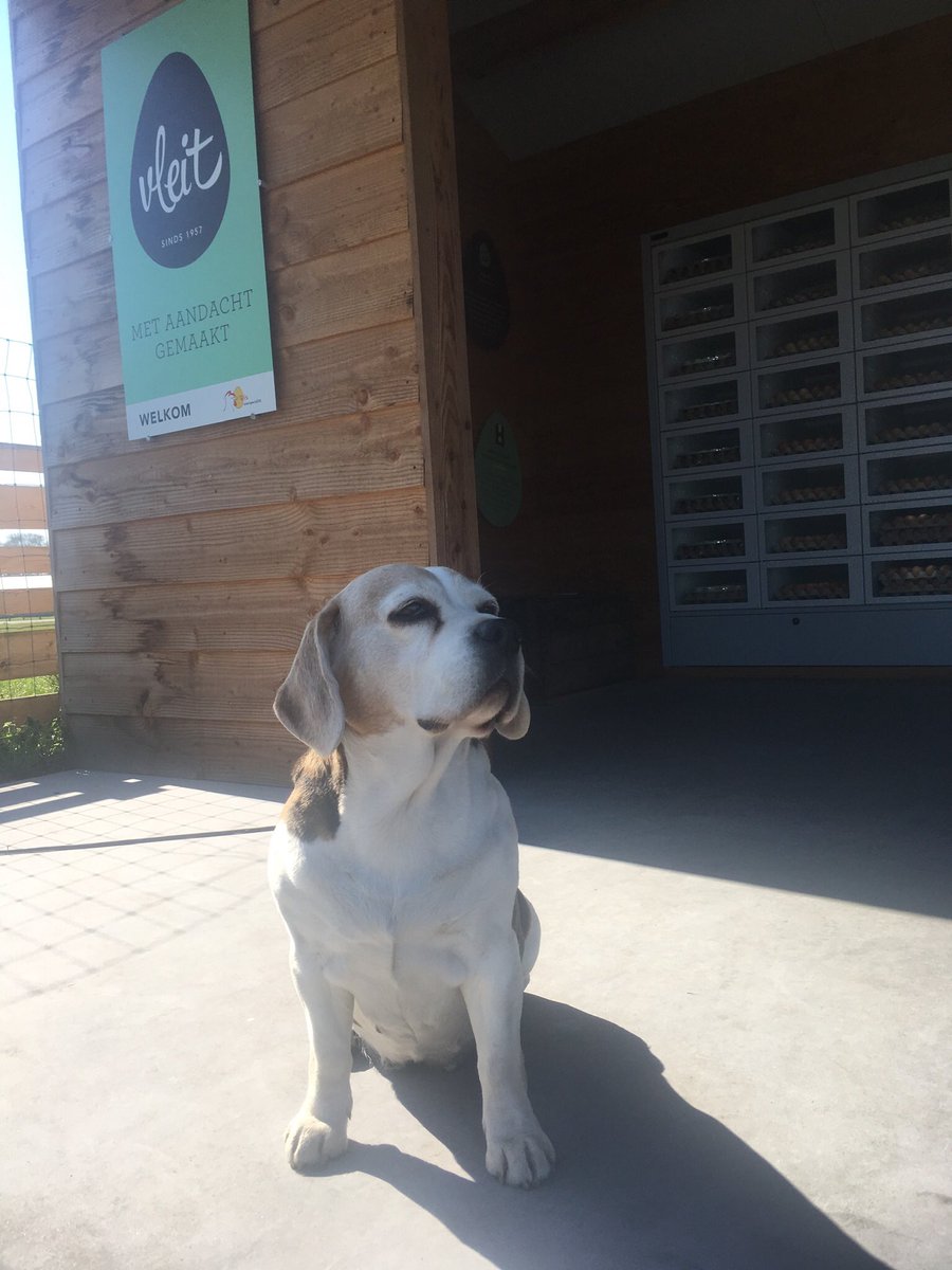 Hier nog voldoende eieren en andere heerlijk streekproducten! Wel met streng toezicht 🐶op ons deurbeleid. Graag op gepaste afstand wachten tot u aan de beurt ben #eierautomaat #lankerenseweg28a #voorthuizen #24/7 #COVID2019NL #Supportyourlocals