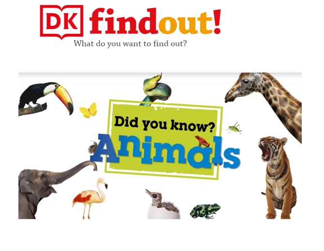 DKCanada's tweet photo. If you are trying to keep the curiousity & learning alive at home this week, take advantage of our free online learning resource #DKFindOut . Stunning visuals, quizzes and projects - and course, great videos, like this one! See more here https://t.co/CeRh8FXlPd #homeschooling https://t.co/Kc3Yb7xamX