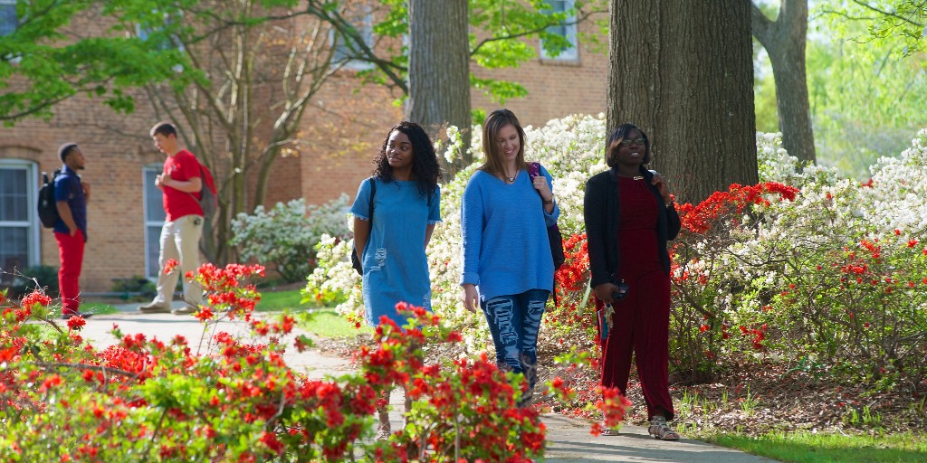 NewberryCollege's tweet photo. The Board of Trustees has unanimously renewed the #TuitionPromise, a program which freezes tuition for incoming freshmen and transfer students for their four years at #NewberryCollege.
Full story: https://t.co/qAW4JH7HVu https://t.co/j3bJW1x06V