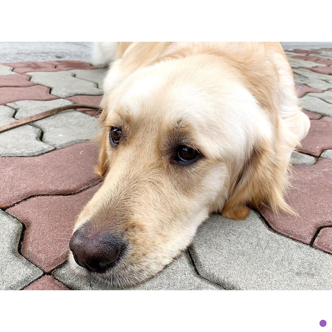 PortalCravity's tweet photo. [THE-_HIDDEN_UNIVERSE]
200313

TRAD: "Meu único amigo, #Libee"

©The hidden universe https://t.co/9ADIJcjbDH