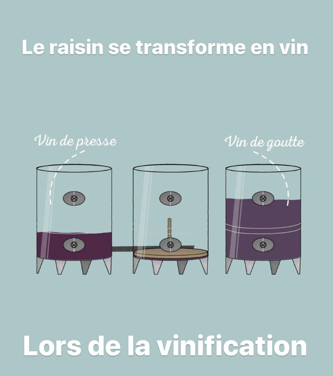 Vignerons Puisseguin tweet media