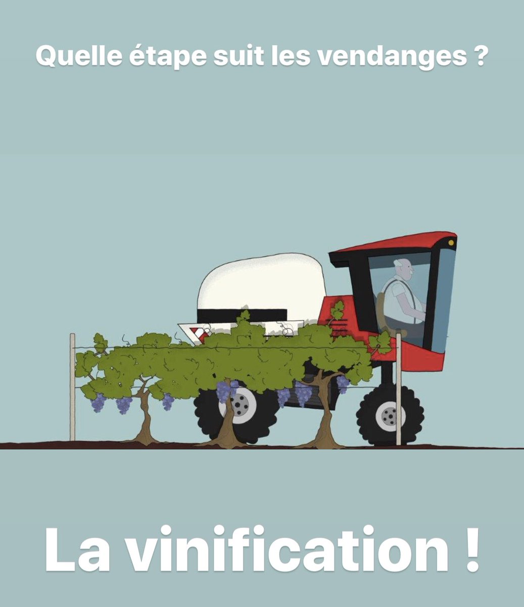 Vignerons Puisseguin tweet media