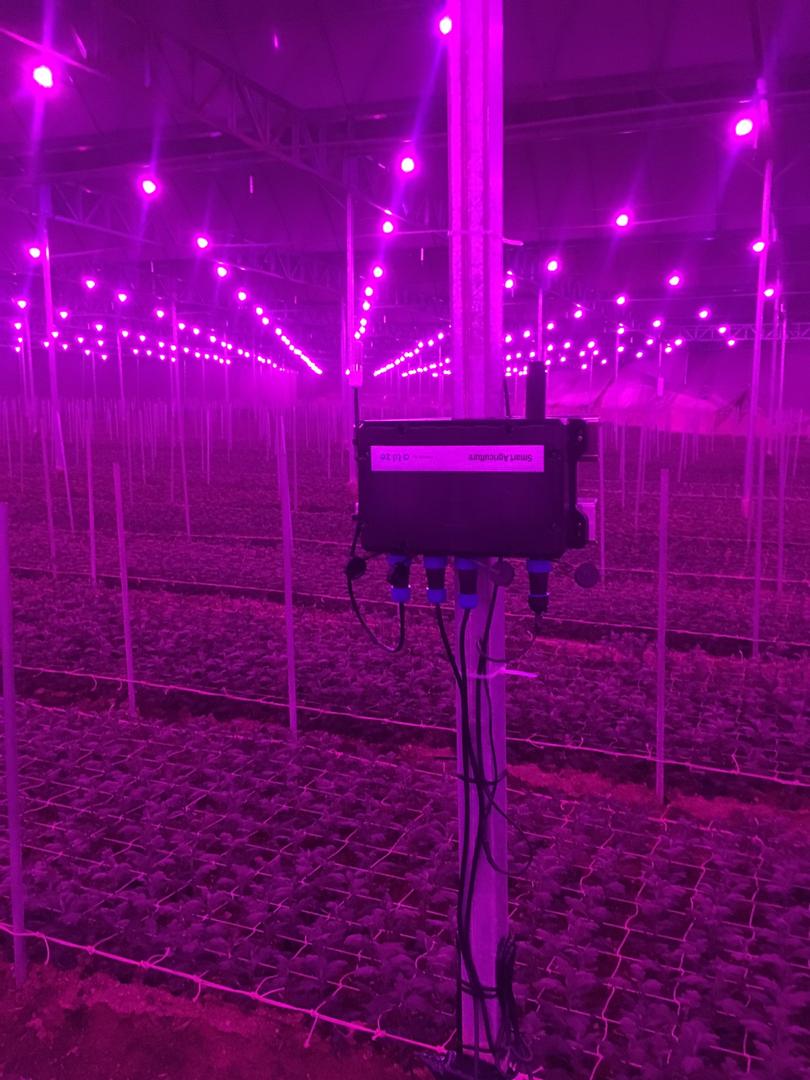 fabhar's tweet photo. Last year, we installed our #IoT smart farming to help with farm monitoring &amp; irrigation in Cameron Highlands. Proud of it!

#work #atilze #greenpacket https://t.co/Wlqq3piSIV