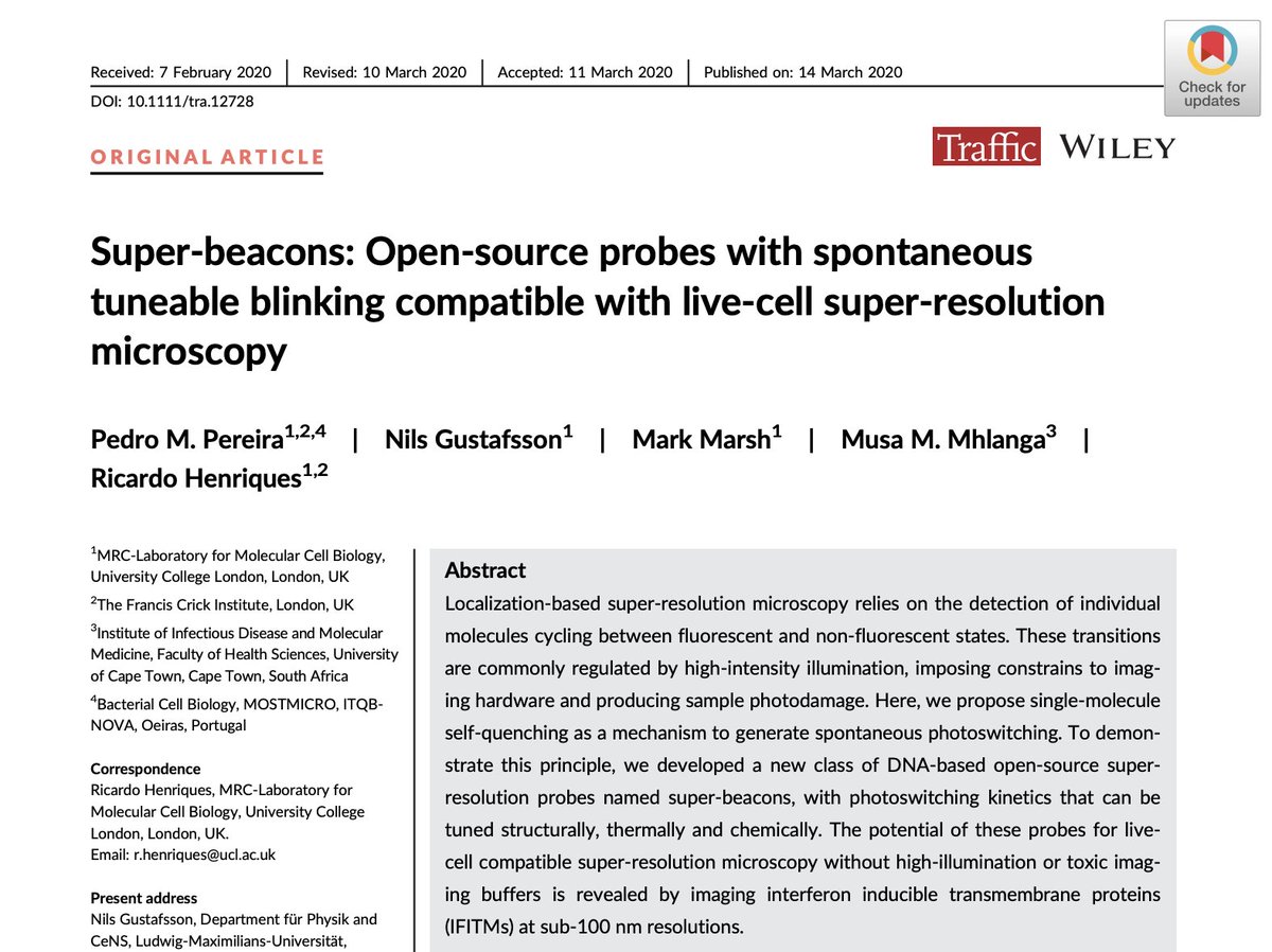 HenriquesLab's tweet photo. Our paper - #SuperBeacons: Open-source probes with spontaneous tuneable blinking compatible with live-cell #SuperResolution #Microscopy - now peer-reviewed and published =). Check it out https://t.co/mwMR5Qj0Ub https://t.co/bebHLojfpU