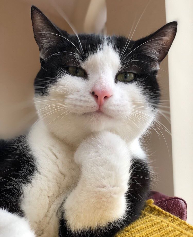 Eeee sonra ne olmuş..?