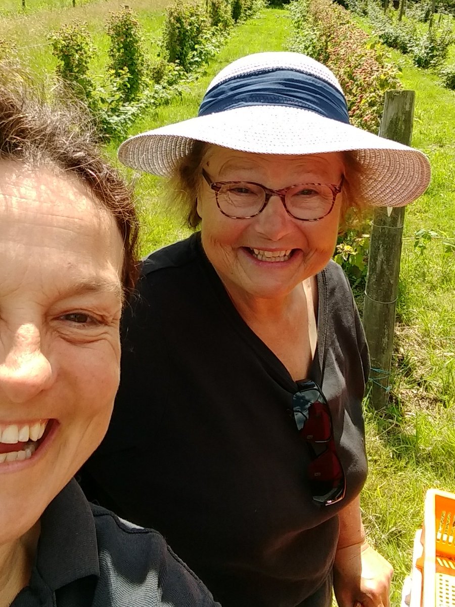 You can now personalise your #juneberry #gin #bypost by adding a free handwritten card when ordering online 👉 juneberries.co.uk
If you can't see someone you love for a little while, it might just make their day 🤗
#isolationsilverlinings #juneberryvodka #too #orboth 😍