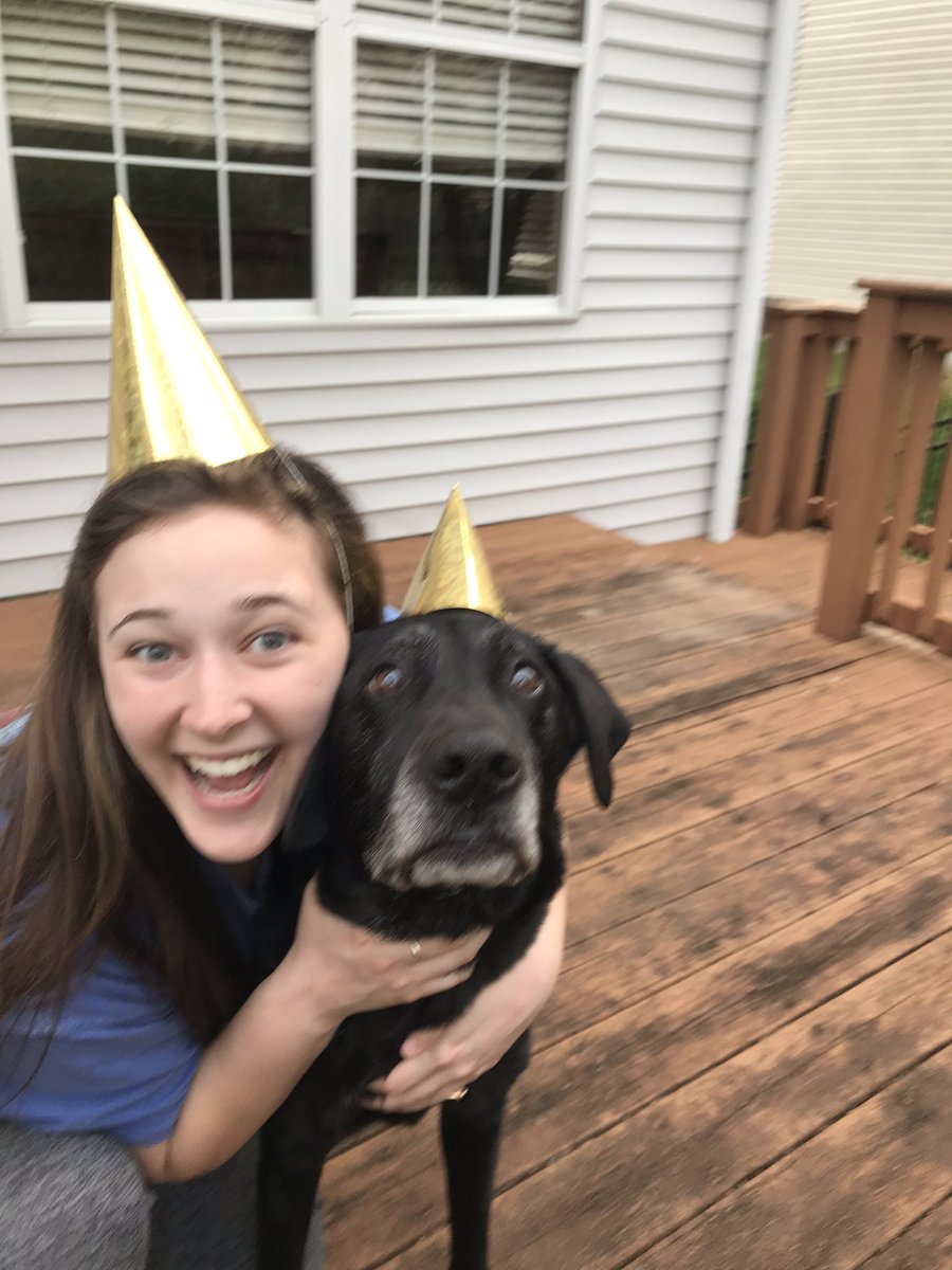 abigail_coco28's tweet photo. @SeanLowe09 my best pup Harley lives that laryngeal paralysis life like Ellie, but today he’s celebrating his 12th birthday!!!! Can’t let a silly messed up larynx hold him back from celebrating his big day 🥳♥️ https://t.co/JgWKEB7tL3